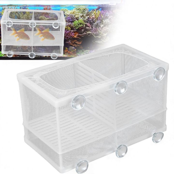 Fish Separation With Suction Cup Aquarium Fish Breeder Box With ...