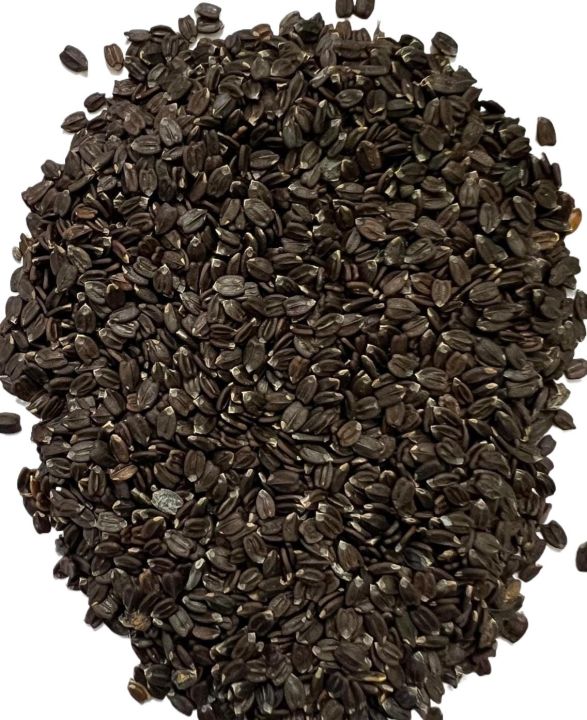 Ban%20Silam%20Seeds%20%7C%20Himalayan%20Wild%20Mint%20l%20Ban%20Tulsla%20%7C%20Om%20Masala%20-%20Image%202