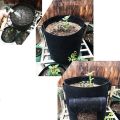 2 Pcs Plant Grow Bags 7 Gallon Nonwoven Fabric Growing Bags(Black). 