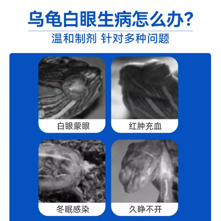Exotic%20pet%20health%20products,%20pet%20turtle%20white%20eyes,%20blindfolded%20eye%20cleansing,%20grass%20turtle%20eye%20drops,%20turtle%20protection%20liquid,%20Brazilian%20turtle%20white%20eyes%20-%20Image%203