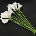 Calla Lily 20 head Latex Real Touch KC51 White. 