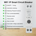 CGearuppt Tuya ZigBee Smart Circuit Breaker with Reclosing Timer Energy Meter KWH Monitor Overload Protect for Zigbee. 