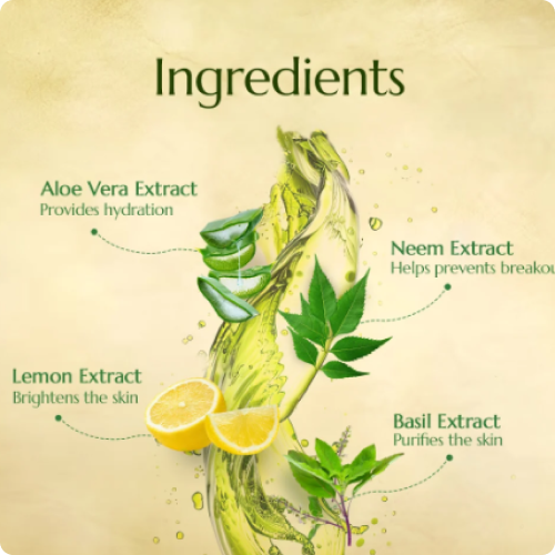 Astaberry Neem And Aloe Face Wash 60 Ml Natural Herbal Skin Care for All Skin Types Deep Cleansing And Pore Minimizing