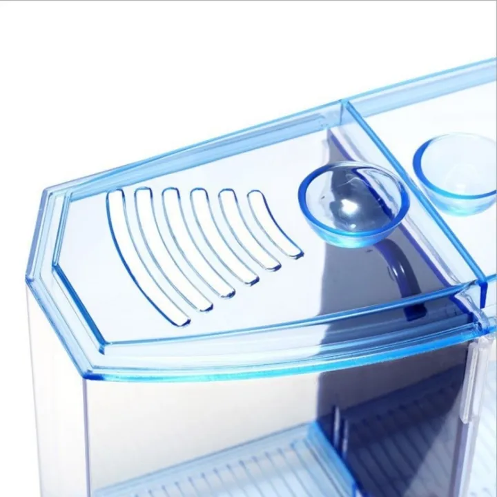 Fish%20Breeding%20Plastic%20Betta%20Isolation%20Box%20Single/Double%20Grid%20Transparent%20Betta%20Fish%20Tank%20Fish%20Breeder%20Box%20Office%20Fish%20-%20Image%205