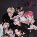 Stray Kids Music Band Poster: Multicolour Wall Decor - 14x19 Inches - 130-200 GSM Paper - Perfect For Office, Home, Or Student Room. 