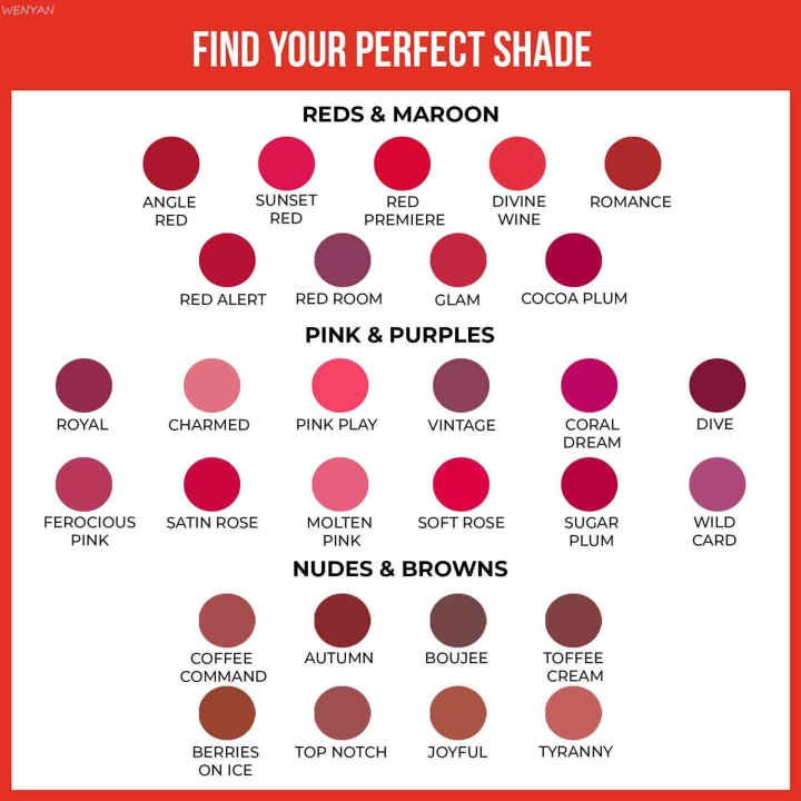 WENYAN Insight Cosmetics Non Transfer Liquid Lipstick |Matte Texture|12Hrs Waterproof|Smudge Proof |Toxic Free |Vegan|Longwear, 4ml (08 Coral Dream, 4 ml) (FROM INDIA)