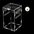 Acrylic Reptile Terrarium - Transparent Breeding Box Insect Feeding Cage with Arboreal Enclosure. 