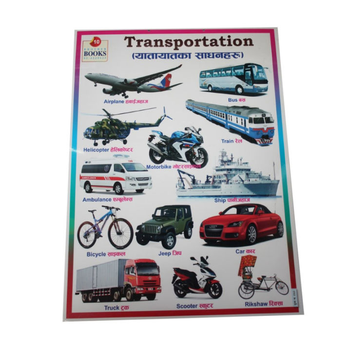 Transportation, Professions & Business Chart No. 10 - 12" x 24 "