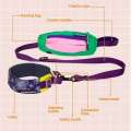 Dog Collar Adjustable Nylon Necklace Accessories Personalized Small Medium Large High Quality Padded Dogs Leads Pet Products. 