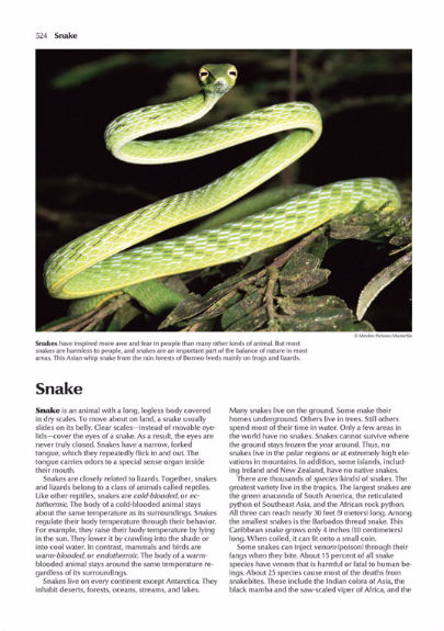 World%20Book%20Encyclopedia%20-%20Image%204