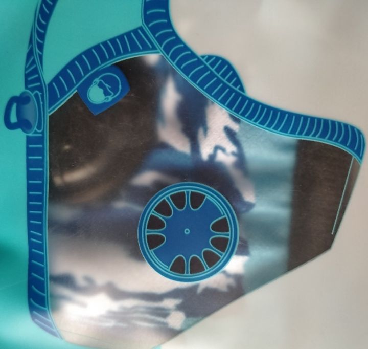 Cambridge Basic (Everest) FLU GUARD  VIRAL SAFE N95 pollution Face Mask for PM 2.5, Viruses and Bacteria-Medium Size