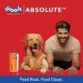 Drools Absolute Salmon Oil Syrup Dog Supplement, 150 ml, Animal Health Supplement. 