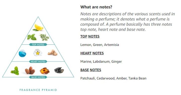 Wild%20Stone%20Edge%20Eau%20De%20Perfume%20For%20Men%20100ml%20-%20Image%204