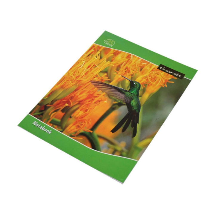 Green/Yellow Color Bird in Flower Printed Classmate English Copy