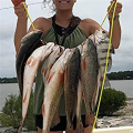 6Pack Fishing Bobbers Popping Cork Float for Redfish Speckled Trout Sheepshead Flounder Freshwater and Saltwater. 