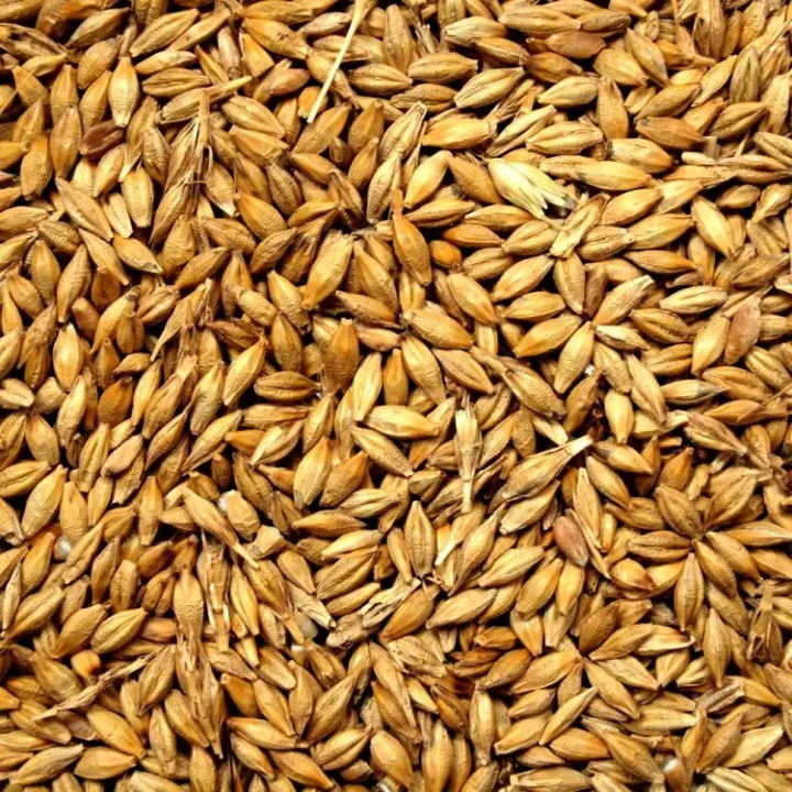 Barley%20Whole%20Grain%201%20Kg%20-%20Image%202