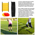 JAERBEE Sports Speed Agility Training Set 10 Disc Cones and Agility Ladder for Football Basketball Rugby Track. 
