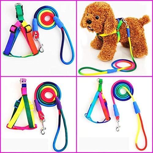 Printed%201Cm%20Adjustable%20Dog%20Belt%20For%20Small%20Medium%20Pet%20-%20Image%202