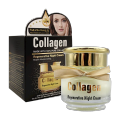 Collagen Regenerative Repair Moisturizing Night Cream - 55g. 