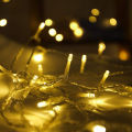 Yellow Warm Lights 9 Meter Decorations for Specific Day (Tihar, Wedding, Christmas Etc.). 