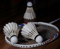 liangjian LG-417 Shuttlecock / Badminton Cock 12 Pcs. 