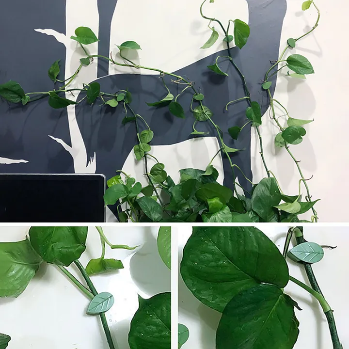 10pcs%20Plant%20Stand%20Green%20Leaf%20Clip%20Self%20Adhesive%20Plant%20Clip%20Home%20Garden%20Vine%20Nicle%20-%20Image%203