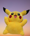 Pikachu Doll. 