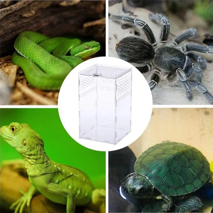 Acrylic%20Reptile%20Terrarium%20-%20Transparent%20Breeding%20Box%20Insect%20Feeding%20Cage%20with%20Arboreal%20Enclosure%20-%20Image%207