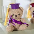 Gift Plush Doctor Nursery Gift Graduation Fleece Doll Dr. Cub Bear Cute Furry Teddy Bear Hanging Bag Charm Key Ring Holder. 
