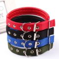 Dogs Neck Belt 1 Cm. 