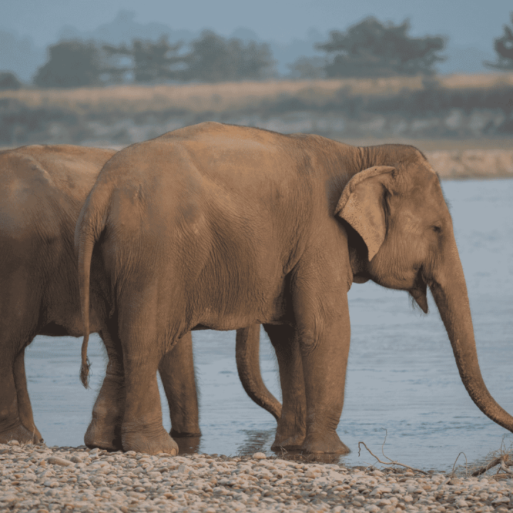 𝐒𝐚𝐮𝐫𝐚𝐡𝐚 𝐏𝐚𝐜𝐤𝐚𝐠𝐞 2𝐍/𝟑𝐃