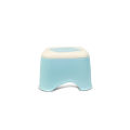 Bagmatii Plastic Fancy Mini Stool. 