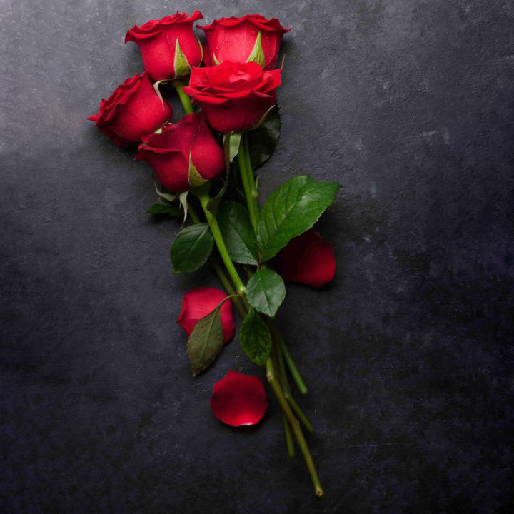 Set of 3pcs Fresh Red Rose for Valentine's Day Gift | Real Rose