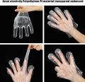 500Pcs Disposable PE Gloves Bulk Cooking Gloves Kitchen Gloves Food Prep Gloves | Multi Use Disposable Gloves - 500 Pcs. 