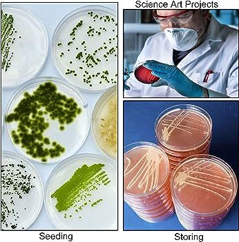 10%20PCS%20Borosilicate%20Petri%20Dishes%20With%20Lid%20And%2010%20Pcs%20Transfer%20Pippet,%2080mm%20x%2015mm%20Sterile%20Petri%20Dishes%20For%20Bioresearch%20Science%20Art%20Projects%20-%20Image%203