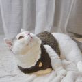 Fashion Soft Cozy Cat Clothes Fleece Winter Warm Sweatshirt Costume Sweater Pet Cat. 