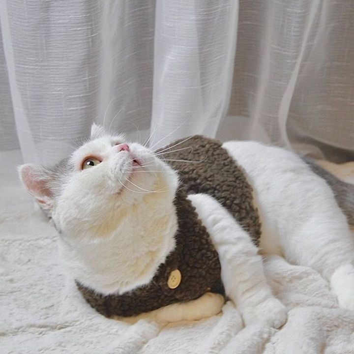 Fashion%20Soft%20Cozy%20Cat%20Clothes%20Fleece%20Winter%20Warm%20Sweatshirt%20Costume%20Sweater%20Pet%20Cat%20-%20Image%205
