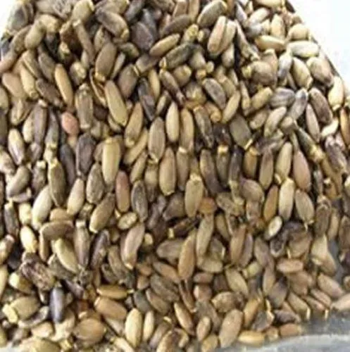 Milk%20Thistle%20Seeds%20200gm%20-%20Image%202