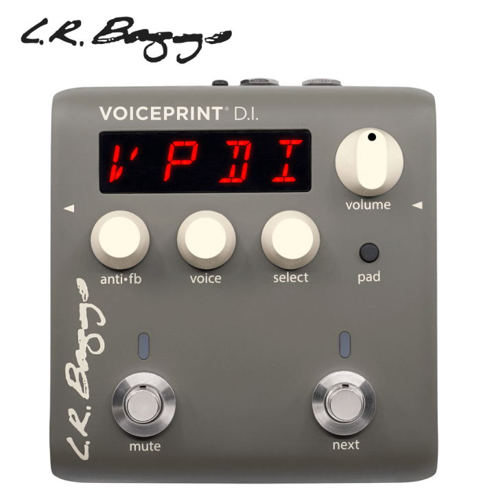 L.R. Baggs Voiceprint DI - Acoustic Guitar Impulse Response Pedal