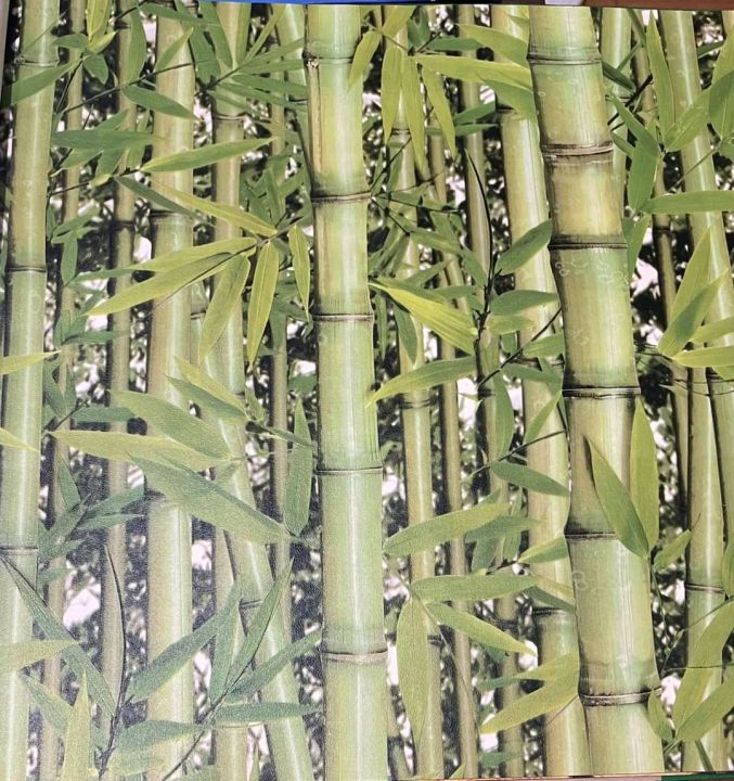 Bamboo%20Design%20Wallpaper%20-%2021%20Inch%20x%2010%20Mtr%20Roll%20%7C%2021%20Inch%20Attractive%20Design%20Bamboo%20For%20Wall%20Decor%20-10%20Meter%20Roll%20-%20Image%203