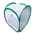 Durable Green Collapsible Insect Cage Zipper Opening Transparent Mesh Plant Insect Screen Feeding Box Insect Habitat Breeding Observing Cages Indoor Outdoor. 