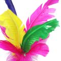Colorful Feather Chinese Jianzi Foot Sports Game Kicking Shuttlecock
Colorful Feather Kick Shuttlecock Chinese Jianzi
New Feather Chinese Jianzi Hacky Sack Foot Sports Game Kicking Shuttlecock
 Feather Chinese Jianzi Kicking Shuttlecock Foot Exercise O. 
