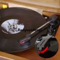 Renyuan (GGBR) Vinyl Record Player Turntable with Universal Replacement Luxury Stylus Needles for LP Phonograph Record Player for Ion Jensen. 