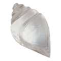 Natural Sphatik Shankh For Puja Crystal Sphatik Shankh (Conch) 500Gram. 