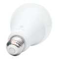 Divya LED Bulb 18 Watt E27 White Light. 