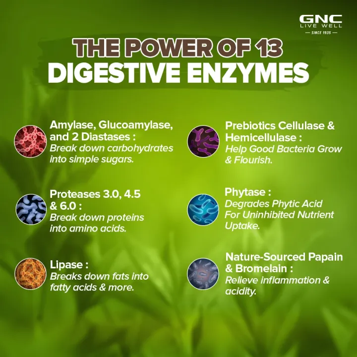 GNC%20Super%20Digestive%20Enzymes-%20100%20Capsules%20With%20Supports%20Healthy%20Digestion%20&%20Relieves%20Stomach%20Discomfort%20-%20Image%204