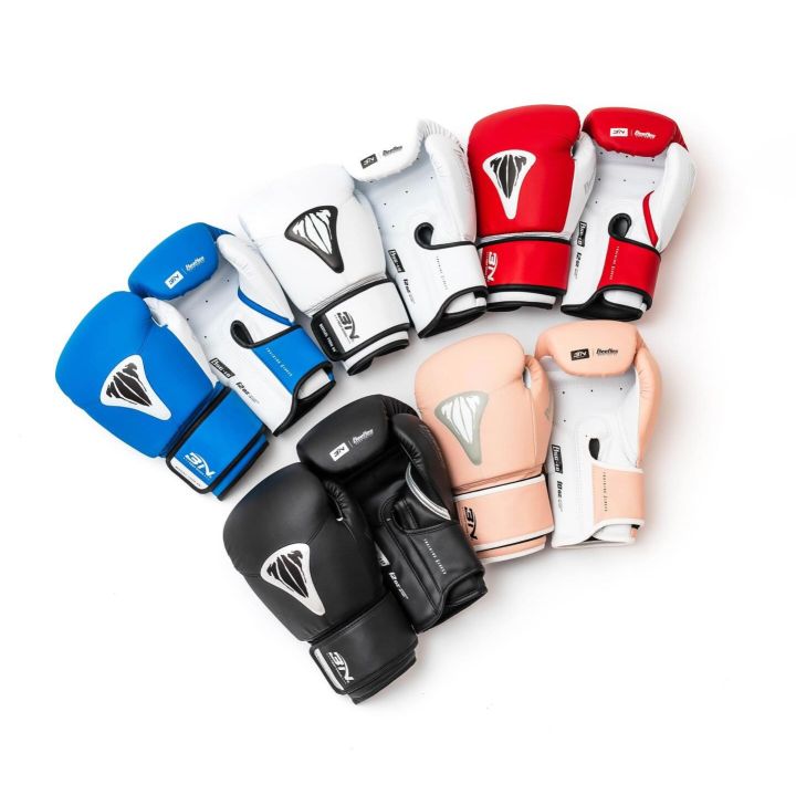 BN%20BEETLES%20Series%20Boxing%20gloves%20-%20Image%202