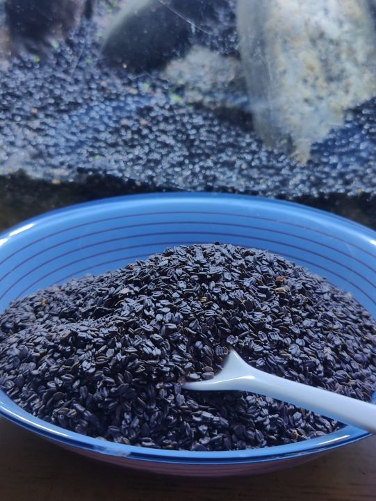 Ban%20Silam%20(%20Himalayan%20Mint%20)%20Seeds%20500%20gm%20-%20Image%202