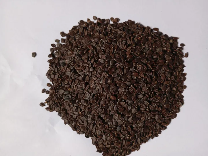 Ban%20Silam%20/%20Bansilam%20A%20grade%20100%25%20Original%20%7C%20Bansilam%20Orangic%20and%20Pure%20Best%20Quality%20-%20Image%203