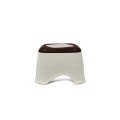 Bagmatii Plastic Fancy Mini Stool. 